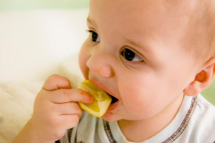Parents’ Guide to Healthy Food on Baby’s First Year - Formuland