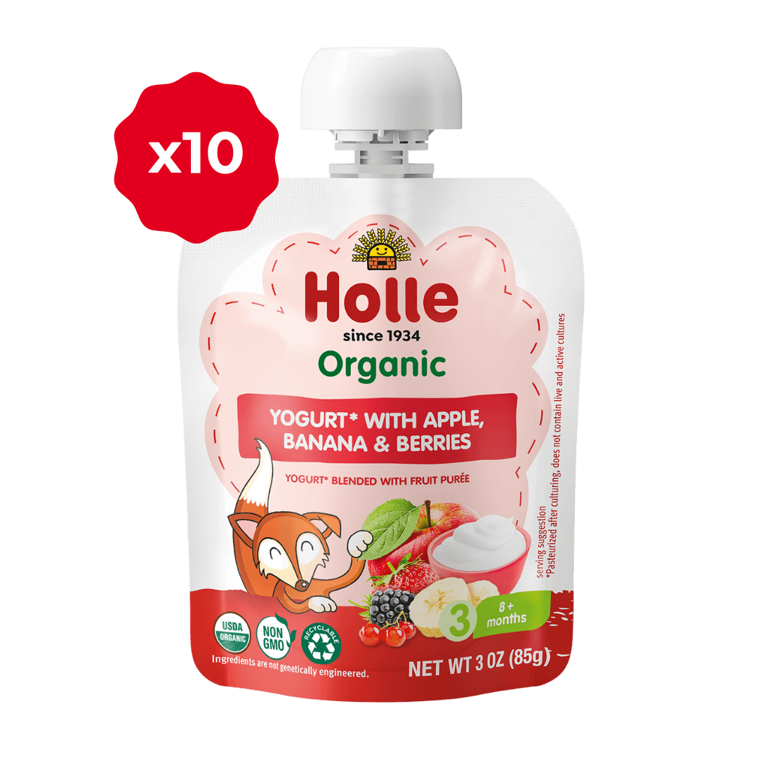 Holle Organic Apple, Banana & Berries Yogurt Pouches - Formuland