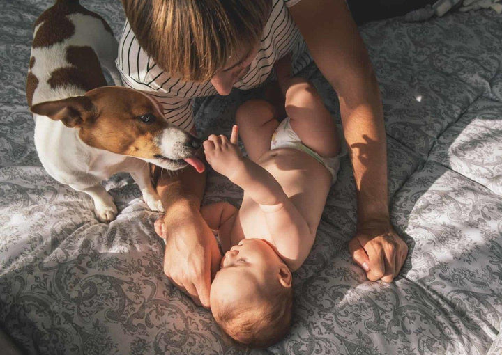 Cloth or Disposable: Which is the Best Diaper for Your Baby - Formuland