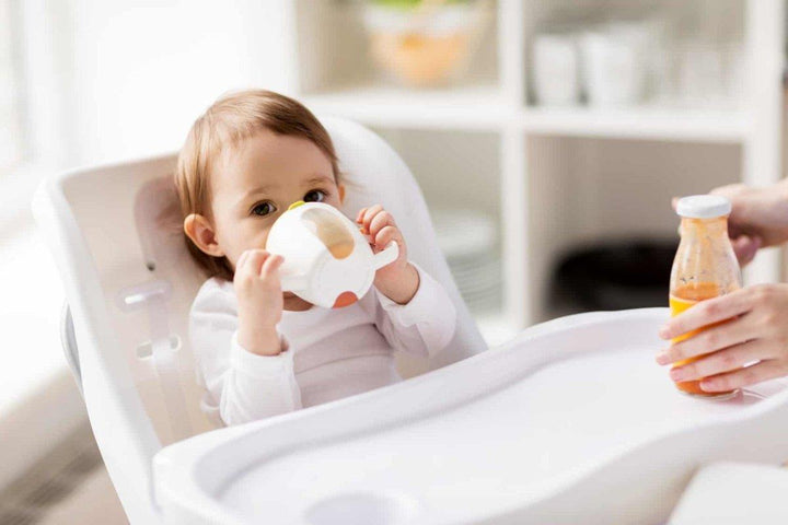 The Ultimate Guide to Baby Nutrition: The Do’s and Don’ts of Feeding Your Baby - Formuland