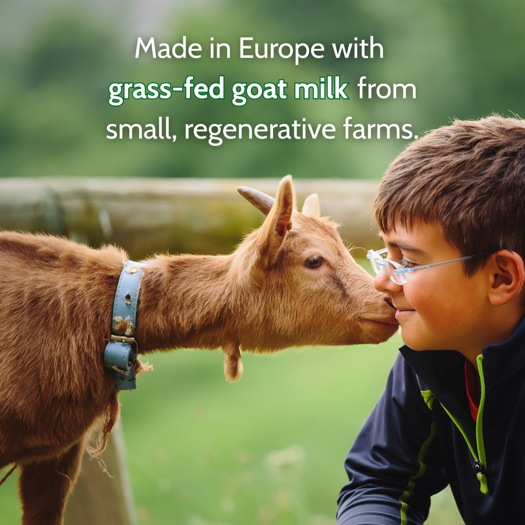 Holle Goat Milk Toddler Drink 6-Tin Bundle (USA Version)