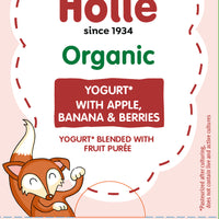 Holle Organic Yogurt Pouches - Apple, Banana & Berries - 10 Pack (USA Version)