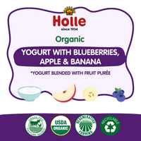 Holle Organic Blueberries, Apple & Banana Yogurt Pouches