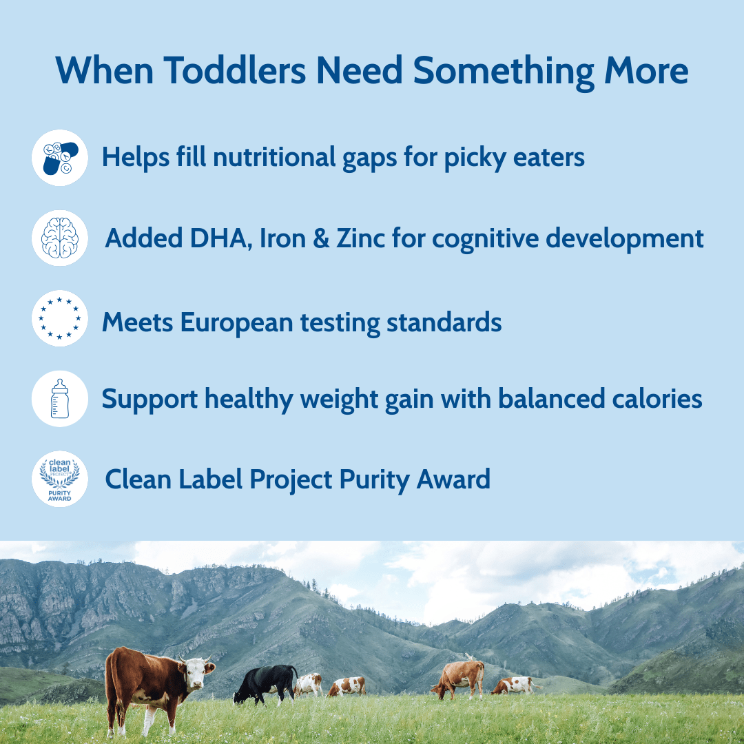 Holle Cow Milk Toddler Drink | Stage 3 (14 oz) - Formuland