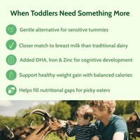 Holle Goat Milk Toddler Drink | Stage 3 (14 oz) - Formuland
