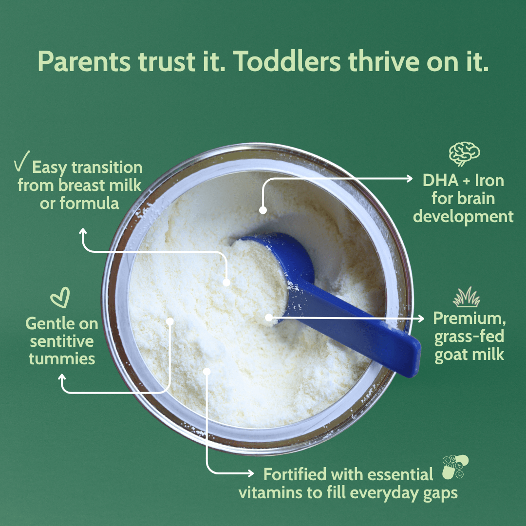 Holle Goat Milk Toddler Drink | Stage 3 (14 oz) - Formuland