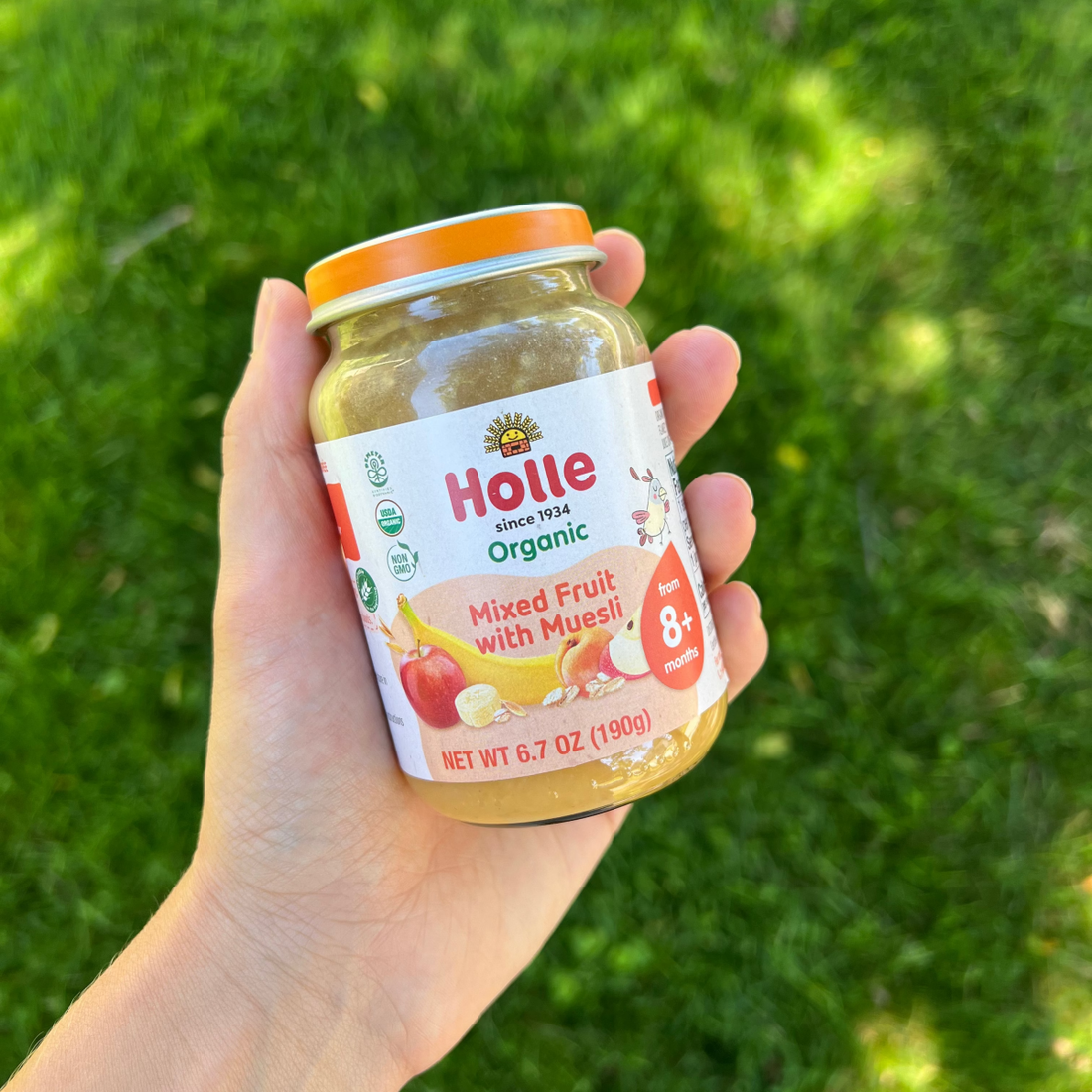 Holle Organic Baby Food Jar - Mixed Fruit with Muesli - 12 Jars - Formuland