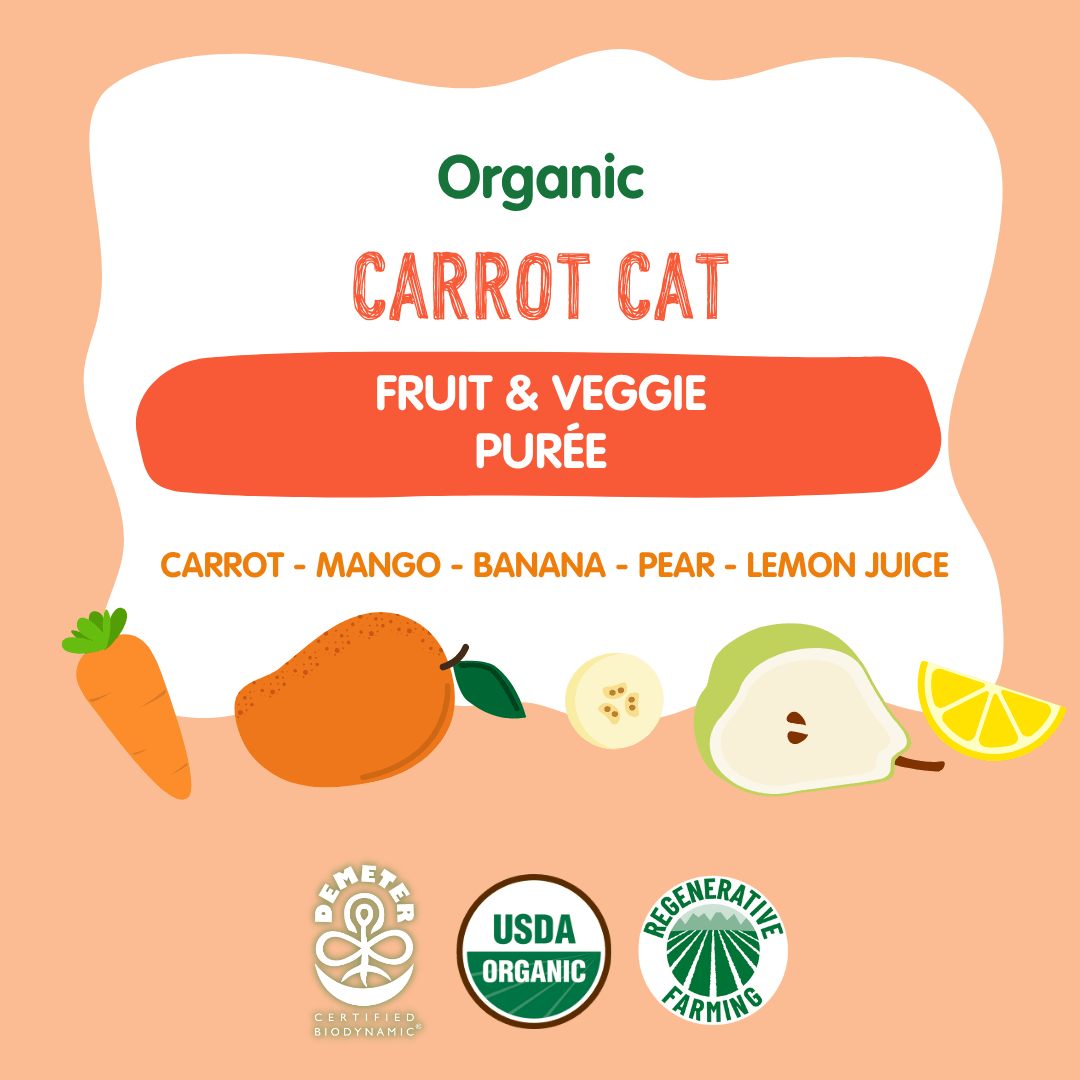 Holle Organic Carrot Cat - Fruit & Veggie Purée Pouches - Formuland