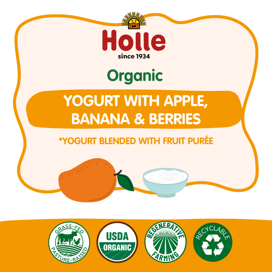 Holle Organic Mango Yogurt Pouches - Formuland