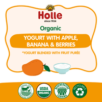 Holle Organic Mango Yogurt Pouches - Formuland