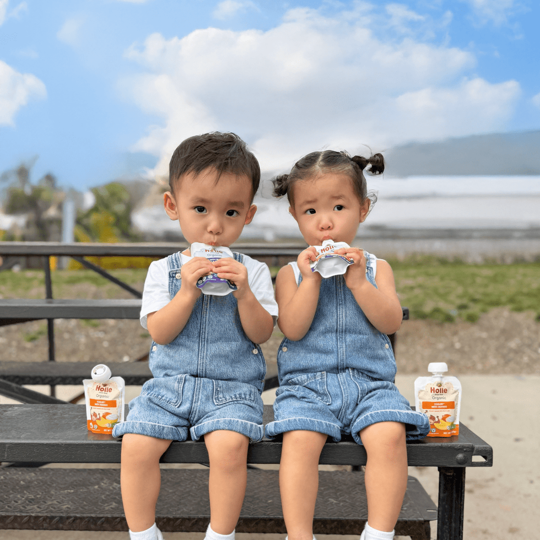 Holle Organic Mango Yogurt Pouches - Formuland