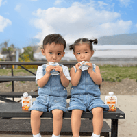 Holle Organic Mango Yogurt Pouches - Formuland