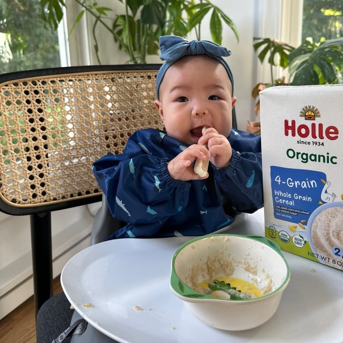 Holle Organic Whole Grain 4-Grain Cereal - 6 Pack - Formuland