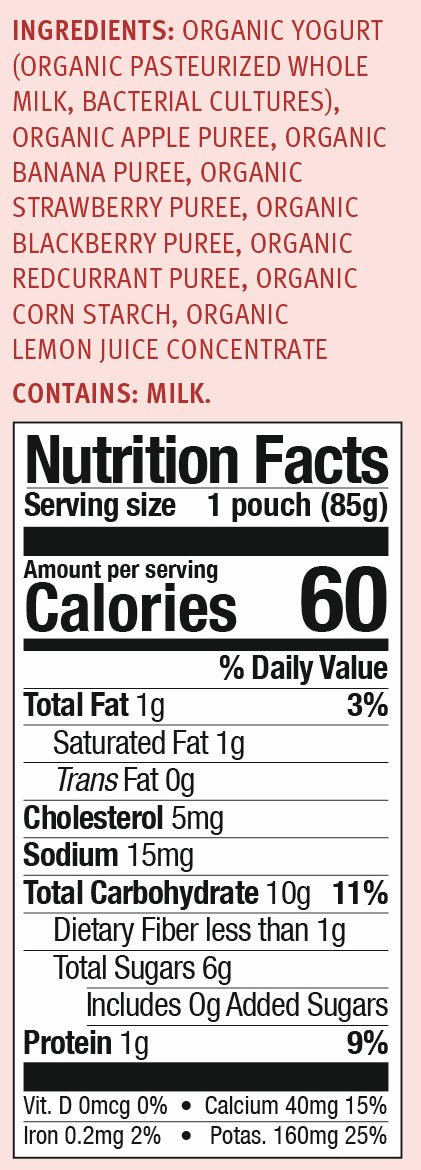 Holle Organic Yogurt Pouches - Apple, Banana & Berries - 10 Pack (USA Version) - Formuland