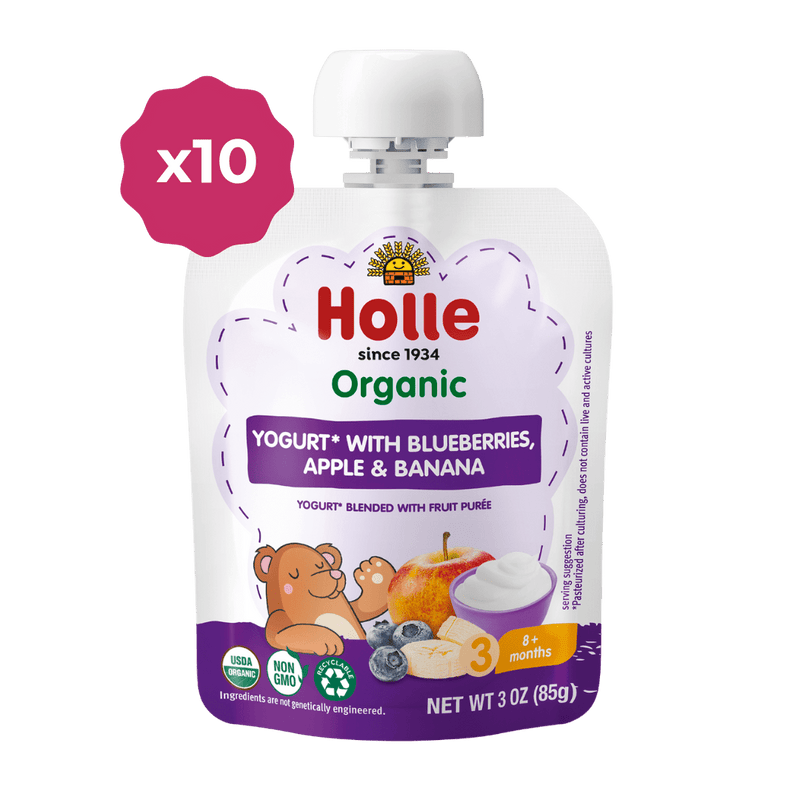 Holle Organic Yogurt Pouches - Blueberries, Apple & Banana - 10 Pack (USA Version) - Formuland
