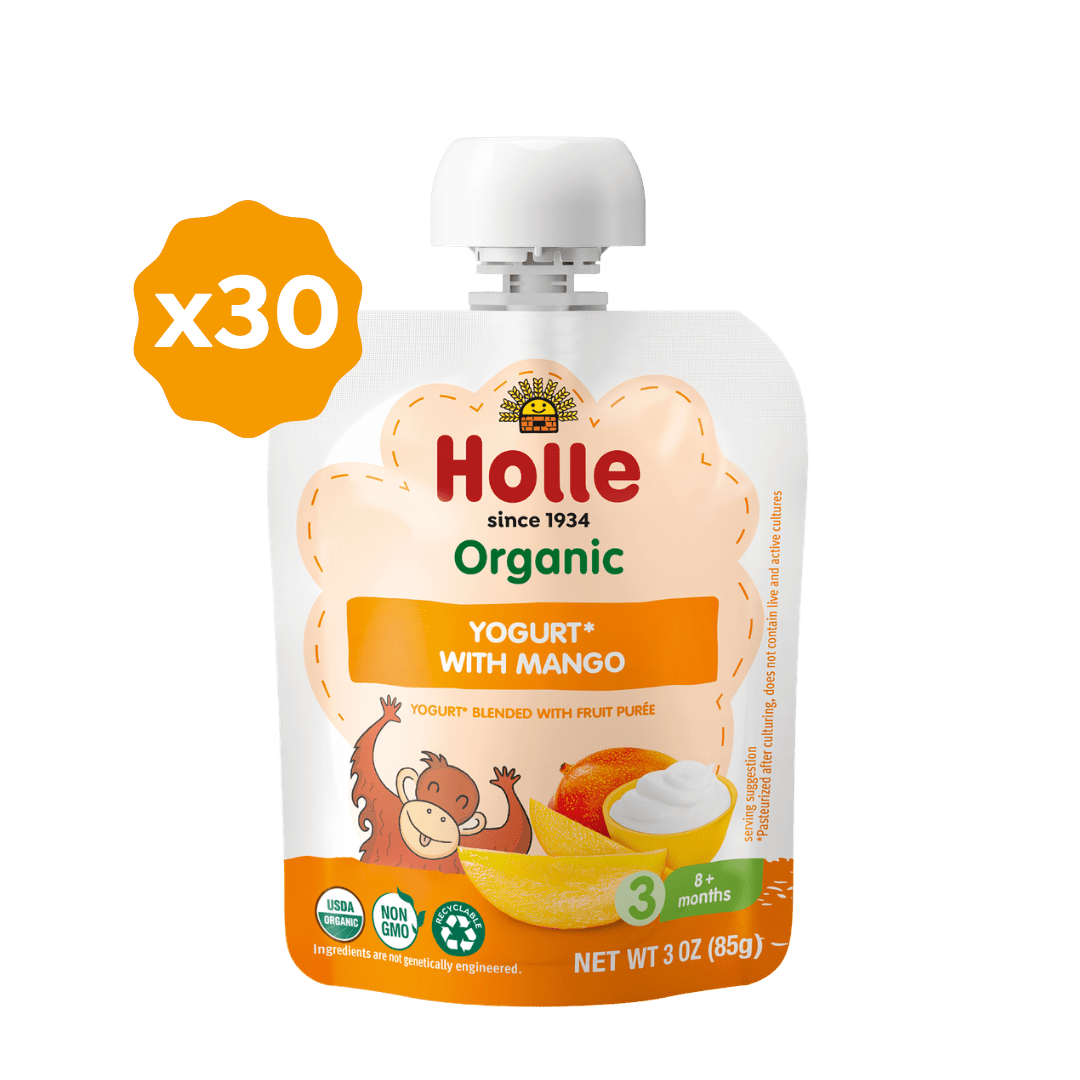 Holle Organic Yogurt Pouches - Mango - 10 Pack (USA Version) - Formuland