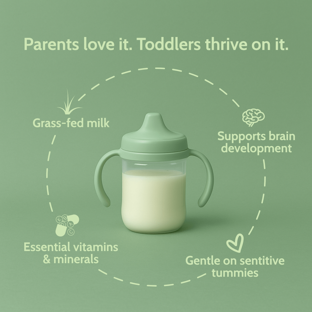 Intro Offer - Holle Goat Milk Toddler Drink - Stage 3 | Non GMO (14 oz) - Formuland