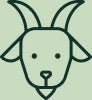 Specialist Focus on Goat Milk Nutrition icon