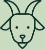 Specialist Focus on Goat Milk Nutrition icon