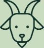 Specialist Focus on Goat Milk Nutrition icon
