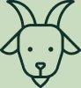 Specialist Focus on Goat Milk Nutrition icon